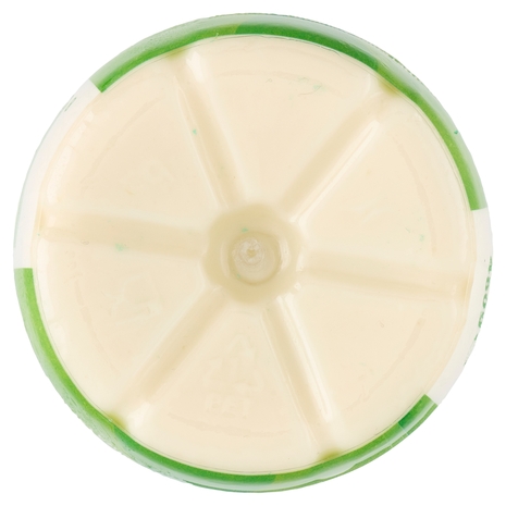 Milk Kefir Multifrutti 480 g